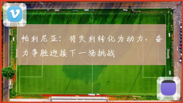 帕利尼亚：将失利转化为动力，奋力争胜迎接下一场挑战