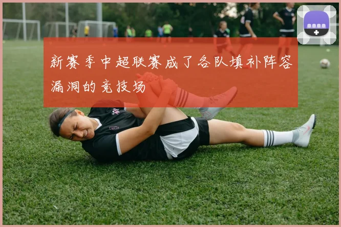 新赛季中超联赛成了各队填补阵容漏洞的竞技场